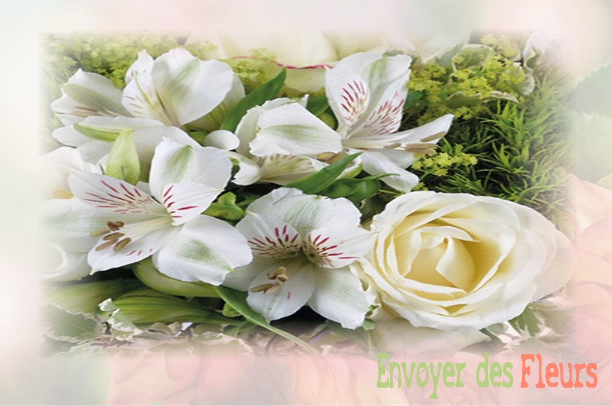 envoyer des fleurs à à SAINT-THOMAS-EN-ROYANS